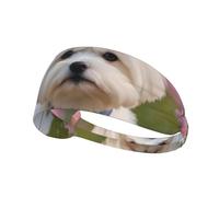 Joli imprimé de Chien Maltais,Bandeau de Sport Unisexe, Bandeau élastique Multi-usages pour Cheveux