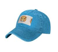Joli petit lion bleu. Le chapeau est respirant, absorbant la transpiration et réglable, tendance et polyvalent, adapté à toutes les saisons.