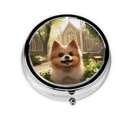 Joli pilulier - Design personnalisé unique, boîte à médicaments facile à transporter, 1 jour AM PM, petit distributeur de pilules portable pour un usage quotidien, fantastique et adorable chien