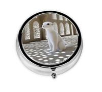 Joli pilulier - Design personnalisé unique, boîte à médicaments facile à transporter, 1 jour matin et soir, petit distributeur de pilules portable pour un usage quotidien dans le palais du désert