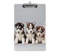 Joli presse-papiers en acrylique avec clip discret, fournitures de bureau, accessoires pour femmes, hommes, chiots husky de Sibérie, chiens husky