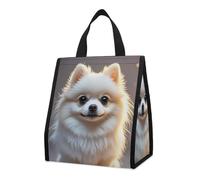 Joli sac à déjeuner isotherme de Poméranie pour homme et femme, sac d'épicerie réutilisable, grand sac isotherme étanche et pliable pour le travail, le camping, le pique-nique