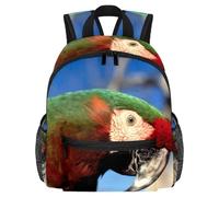 Joli sac à dos pour enfant - Chouette magique de chasse et souris moderne pour enfants pour la maternelle, l'école, les filles et les petits enfants, Multicolore 3., 25.4x10x30 CM/10x4x12 in