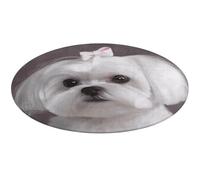 Joli tapis rond avec motif chien maltais, doux, absorbant, antidérapant, pour porte avant et arrière de la ferme, 90 x 90 cm, pour chambre à coucher, salon, décoration d'intérieur