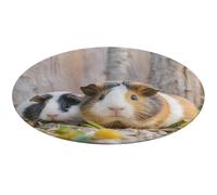 Joli tapis rond doux et absorbant - Motif cochon d'Inde - Antidérapant - Pour chambre à coucher, salon, décoration d'intérieur - 60 x 60 cm