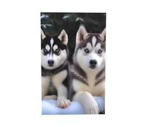 Jolie bannière imprimée husky, drapeau à suspendre au mur pour intérieur ou extérieur, pour dortoir, fête, jardin, toile de fond festive, 0,6 x 0,9 m
