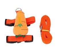 Jolie Carotte en Forme de Carotte et Set pour Bits & Nchillas -, SE & Decorative (M)