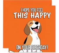 Jolie carte d'anniversaire - Explosion de joie d'anniversaire - Chien de dessin animé joyeux sur un fond orange vif - Garanti pour remonter le moral de tout le monde - Carré de 145 mm, enveloppe