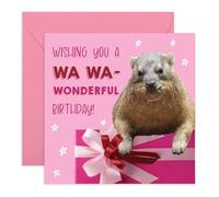 Jolie carte d'anniversaire Hyrax - « Wishing You a Wa Wa-Wonderful Birthday! » - Carte de vœux en forme d'animal pour elle, amis, sœur, collègue, femme - Drôle et adorable - Livré avec des