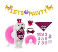 Jolie écharpe pour animal de compagnie pour fête d'anniversaire, costume de prince ou de princesse à paillettes pour chien délicat pour ami à fourrure