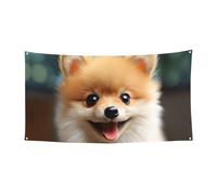 Jolie petite bannière de Poméranie pour décoration de fête, fête d'anniversaire, photographie, arrière-plan, bannières et panneaux de décoration murale, fournitures de fête, 177,8 x 88,9 cm