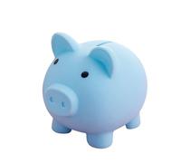 Jolie petite boîte à monnaie en forme de cochon pour anniversaires, événements spéciaux, réalisations récompensantes, cadeau pour enfants