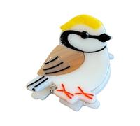 Jolie pince à cheveux en forme de petits oiseaux, épingle à cheveux en acétate, barrette à cheveux d ' oiseaux de dessin animé pour et adolescents, accessoire en acétate