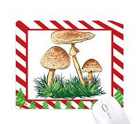 jolie plante truffe illustrer tapis de souris canne de noël du tapis.