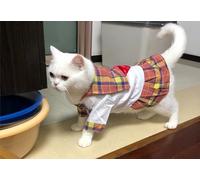 Jolie robe de princesse pour chat et chien, tenue de style marin et uniforme scolaire, adorable costume pour petits animaux (rose classique, taille XL)