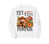 Jolie Vache Highland Hey There Citrouille Automne Thanksgiving Sweatshirt