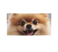 Jolies bannières et panneaux de poméranie pour décoration de fête pour extérieur et intérieur - Bannière personnalisée avec œillets - Toile de fond d'anniversaire, affiche de fond pour photo pour