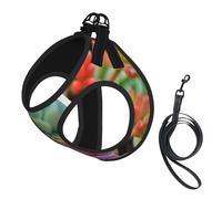 Jolies et Belles Plantes succulentes,Harnais pour Animaux de Compagnie, Harnais réfléchissant réglable pour Chien,S