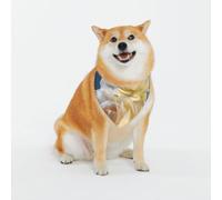 Jolies fleurs imprimées classiques et écharpes lavables pour chiens et chats élégants, bandanas personnalisés pour chien - Écharpe élégante pour chiens de taille moyenne à grande