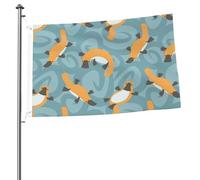 Jolis drapeaux de 90 x 60 cm avec œillets, mâts de drapeau de jardin personnalisés