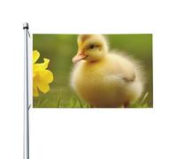 Jolis drapeaux de bébé canards pour l'extérieur - 0,9 x 1,5 m - Drapeau de jardin saisonnier double face avec œillets - Drapeau d'extérieur pour décoration de maison, toile de fond pour photo