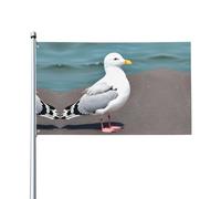 Jolis drapeaux décoratifs d'extérieur imprimés mouettes de 0,9 x 1,5 m, légers et beaux, adaptés pour les terrasses en plein air et les célébrations de festivals.