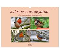 Jolis oiseaux de jardin (Calendrier mural 2026 DIN A3 vertical), CALVENDO calendrier mensuel: Observés pendant toute l'année...