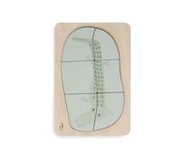 Jollein Puzzle en Bois - Croco - Jouet en Bois pour Tout-Petits à partir de 1 an - 6 pièces de Puzzle - 100% certifié FSC - Crocodile