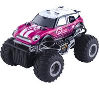 Jollity Works Télécommandé Monster Truck 1:16 - Véhicule RC rapide Rose