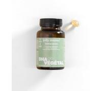 Jolly Mama - Omega 3 Dha Vegan Huile d'Algues 30 Gélules - Pour Grossesse, Bien-Être Bébé, Post-Partum - 250mg par Gélule - Complément Femme Acide Gras Oméga 3 Pur et Stable