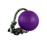 Jolly Pets - Balle pour chiens ROMP-N-ROLL (TL5161)