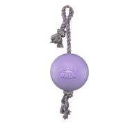 Jolly Pets Romp-n-Roll Jouet en corde et balle pour chien Violet clair Taille L 20,3 cm