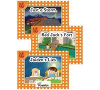 Jolly Phonics Orange Level Readers Set 4