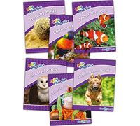 Jolly Phonics Readers Level 5, Our World