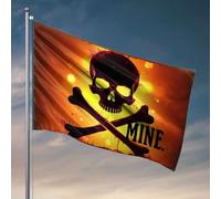 Jolly Roger Drapeaux amusants pour dortoirs d'université Jolly Roger : Danger Ahead ! Drapeau Accessoires de dortoir Drapeaux pour décoration de chambre (60 x 90 cm)