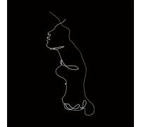 Jon Gomm The Faintest Idea (Vinyl) 12" Album