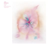 Jon Hopkins – Music for Psychedelic Therapy – Vinyle 33 tours – Domino
