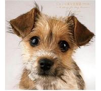 Jon no junna koimonogatari 'Special Complete Edition' -6 Songs for Dog Lovers-(Japan Version) [DE Import]