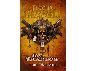 Jon Shannow, tome 1 : Le Loup dans l'Ombre