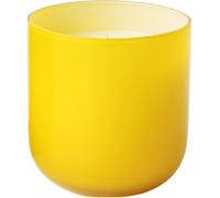 Jonathan Adler - GRAPEFRUIT POP CANDLE - Bougie parfumée 222 g