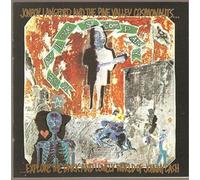 Jonboy Langford - Misery Loves Company [Import]