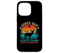 Jones Gap State Park Caroline du Sud USA Retro Sunset Coque pour iPhone 14 Pro Max
