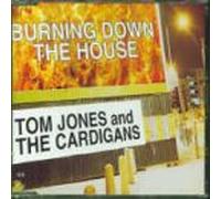 Jones, Tom & The Cardigans - Burning Down The House [Import]