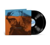 Joni Mitchell – Don Juan's Reckless Daughter – Vinyle 33 tours – Rhino