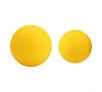Jonikuper Lot de 2 balles de volleyball de rechange en PVC souple, lot de balles de jeu, mini ballon de volleyball, plage, pelouse, rebond puissant, 9 cm/12,5 cm