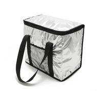 Jonikuper Sac isotherme extra large avec feuille d'aluminium pour pique-nique, camping et sports de plein air, options de capacité de 16 L 26 L (noir 8 L)
