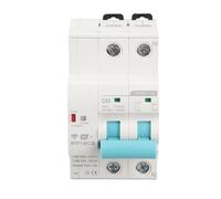 Jonlaki Disjoncteur WiFi avec Commande Vocale, Montage sur Rail Din 2P Intelligent AC 230 V pour Usage Domestique et en Usine - TOWSM1 ? 100 (63A)