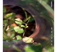 back Then I didn't But Now I do [Analog]