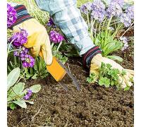 Jooehyer Outil de Désherbage à Boucle Manuelle de Jardin 2 Pièces pour Accessoires de Pelouse, Accès au Nettoyage Portable Du Potager de Cour