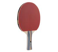 JOOLA Raquette de tennis de table Team School